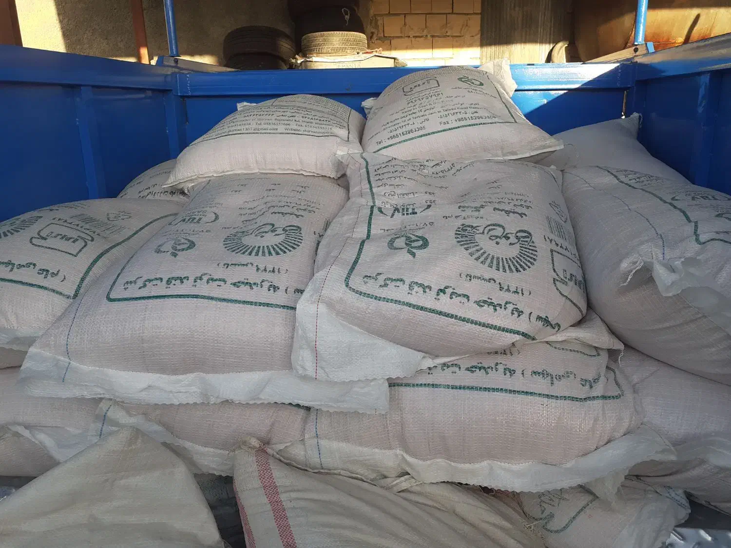 بز گندم آبی و دیم|خدمات باغبانی و درختکاری|دینور, |دیوار