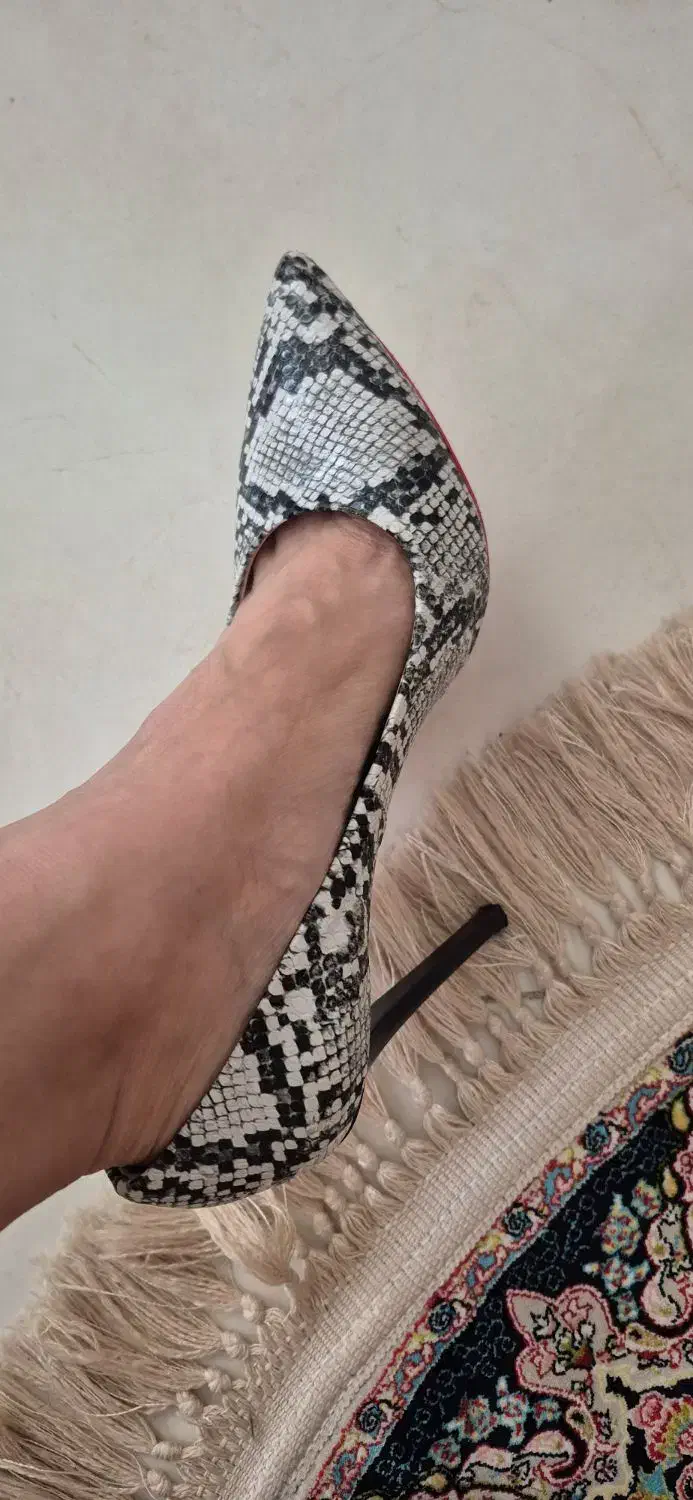 کیف و کفش پوست ماری|کیف، کفش، کمربند|تهران, امام زاده عبدالله|دیوار