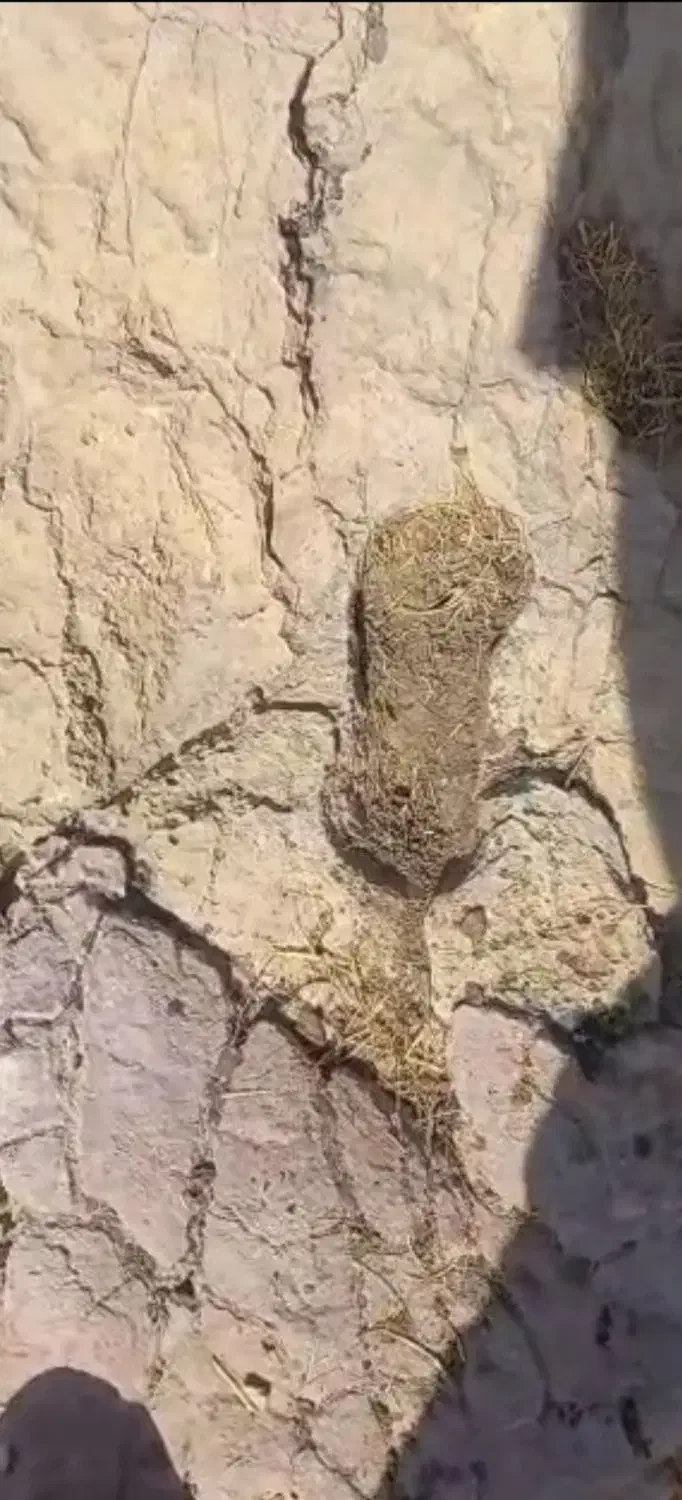 اشیا قیمتی کلکلسیونی|کلکسیون اشیاء عتیقه|شیراز, محمدیه|دیوار