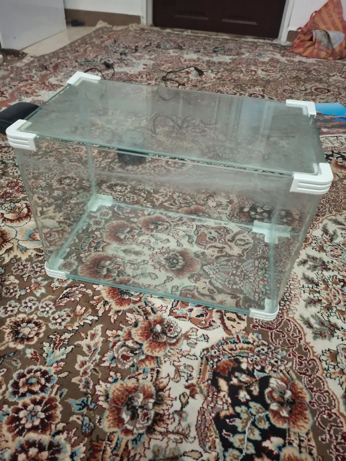 اکواریوم شرکتی شیشه خم و یک عدد شیشه ده میل|ماهی|دزفول, |دیوار