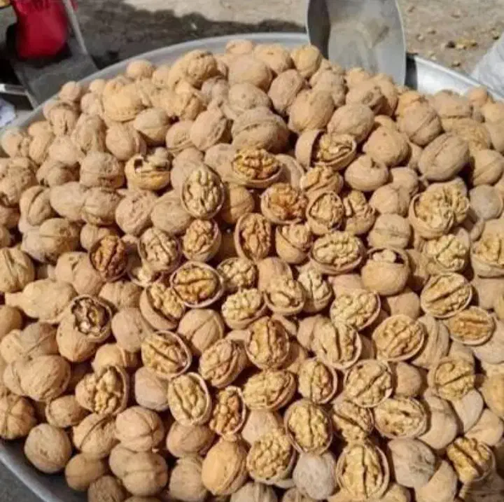گردو نیشابور|خوردنی و آشامیدنی|تهران, قصر فیروزه ۱|دیوار