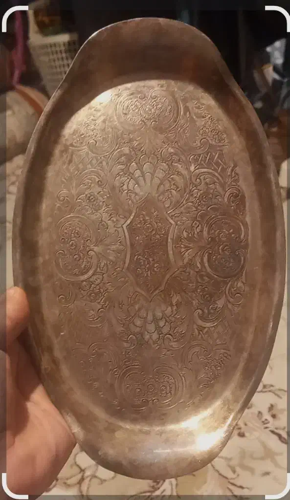 ظرف نقره|لوازم جانبی حیوانات|مینودشت, |دیوار