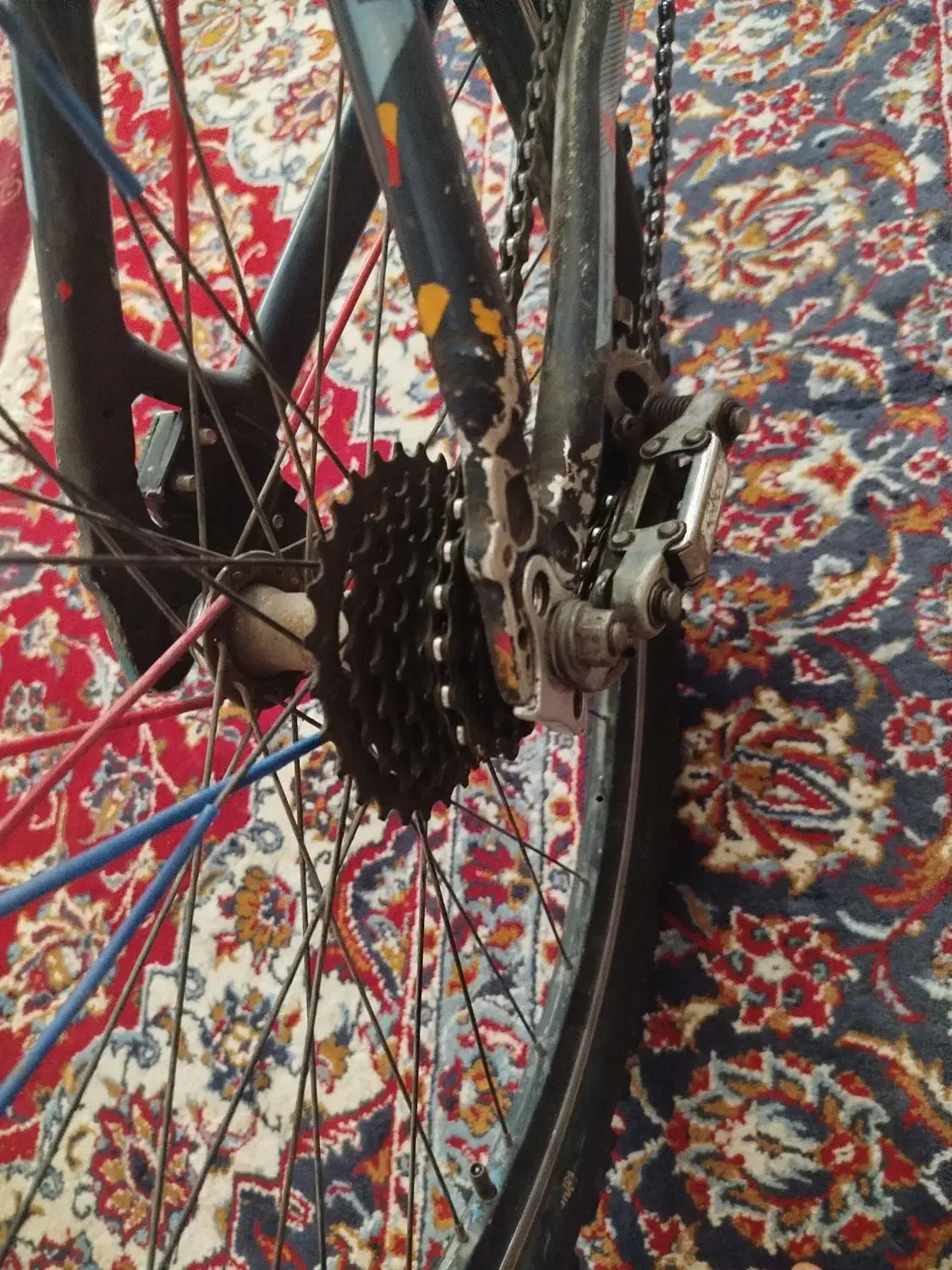 کوی علوی|دوچرخه، اسکیت، اسکوتر|اهواز, گلدشت|دیوار