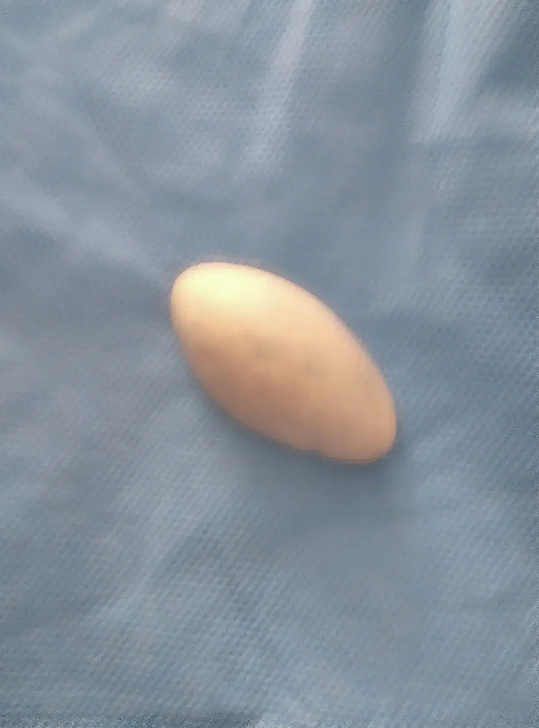 فروشی|کلکسیون اشیاء عتیقه|آبیک, |دیوار