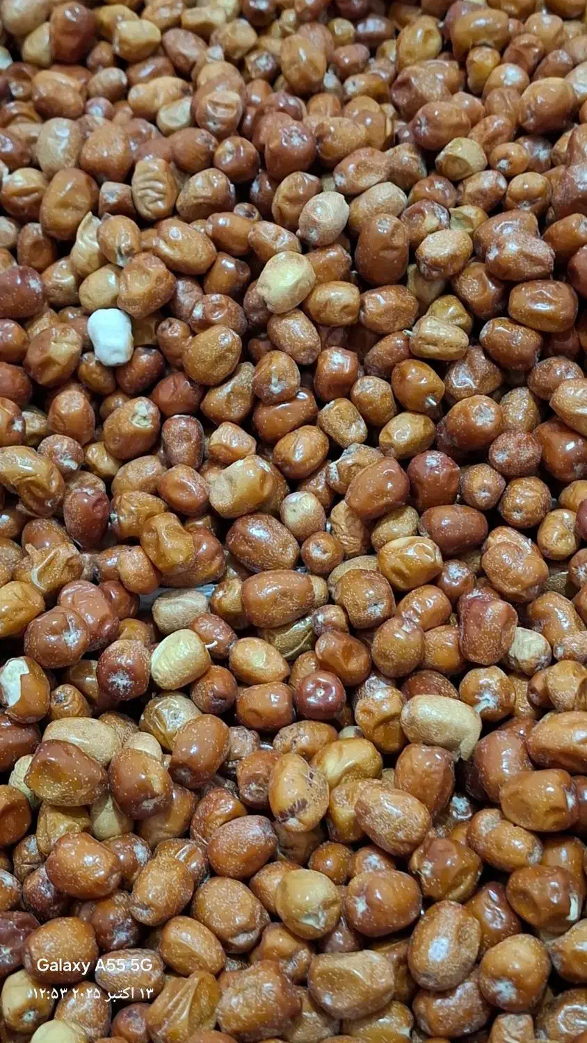 سنجد درجه یک|عمدهفروشی|مشهد, هفت تیر (آب و برق)|دیوار