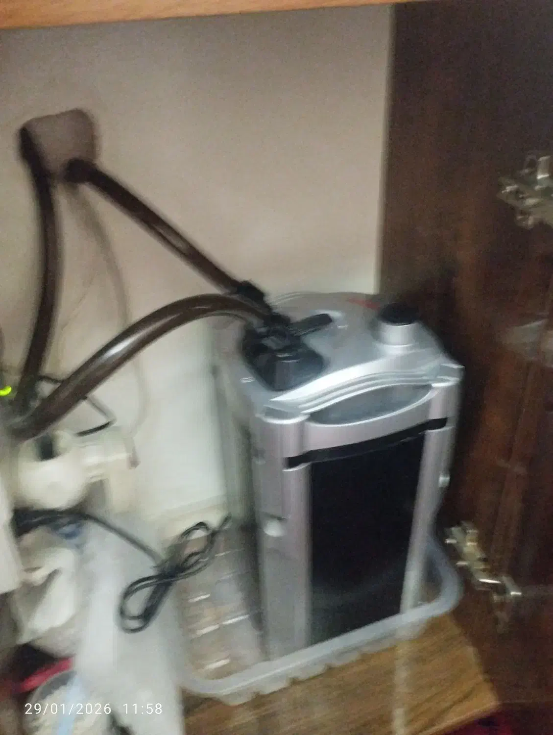 آکواریوم|ماهی|ری, امین آباد|دیوار