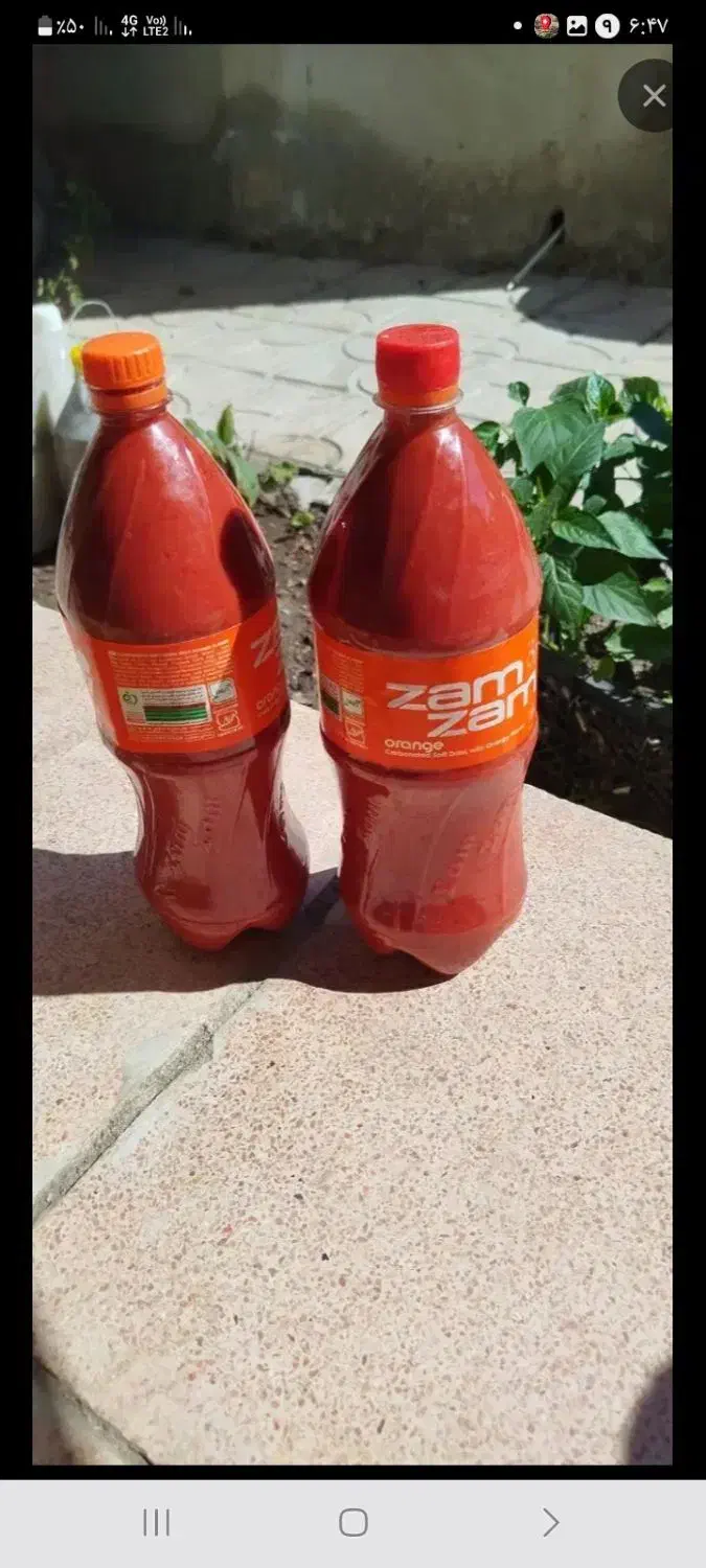 رب درجه یک|خوردنی و آشامیدنی|مشگین شهر, |دیوار