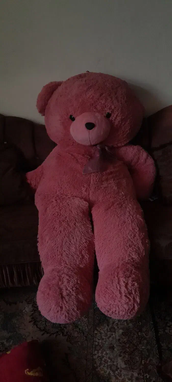 خرس|اسباب‌بازی بچه|کیش, |دیوار