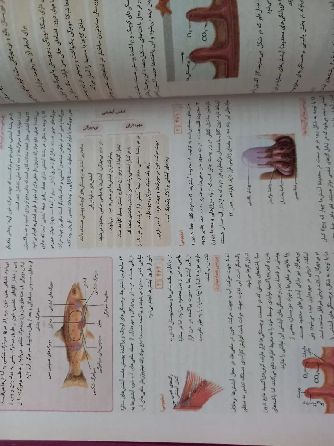 کتاب کنکور زیست|کتاب و مجله آموزشی|ملارد, |دیوار