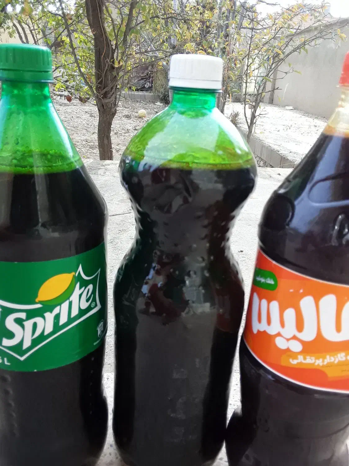 شیره انگور عسگری|خوردنی و آشامیدنی|شیروان (خراسان), |دیوار