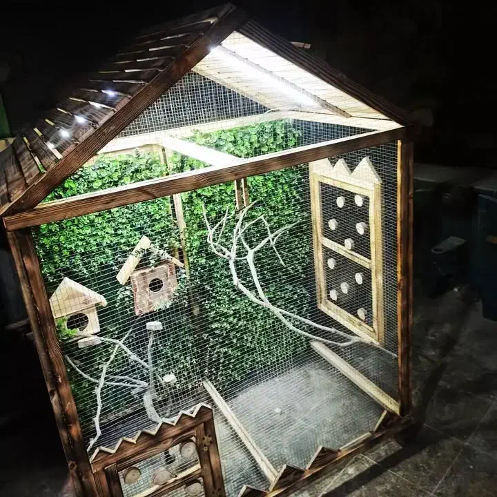 قفس چوبی پرنده|لوازم جانبی حیوانات|شهریار, رزکان|دیوار