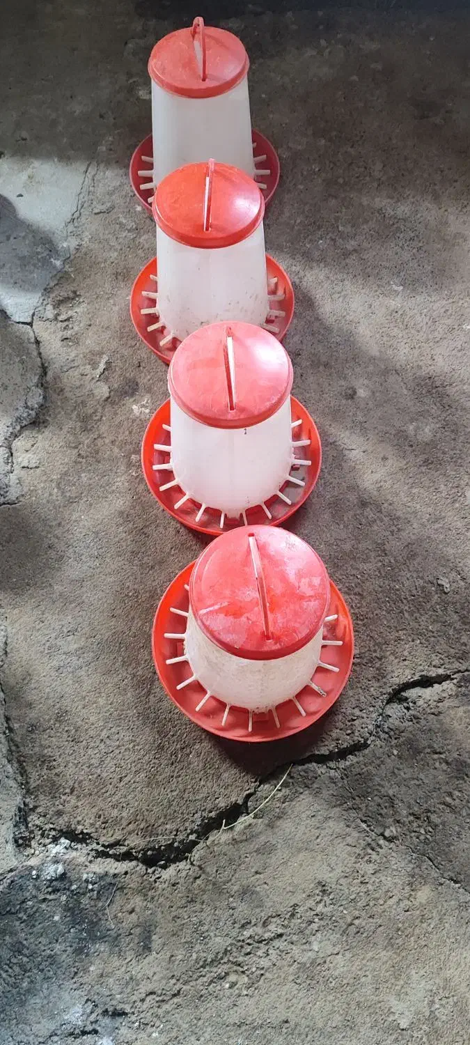 دانخوری و آبخوری|لوازم جانبی حیوانات|پارسآباد, |دیوار