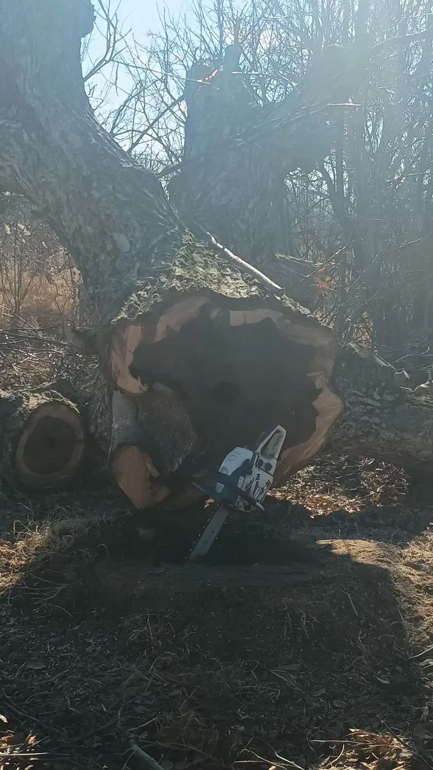 چوب|عمدهفروشی|شیروان (خراسان), |دیوار