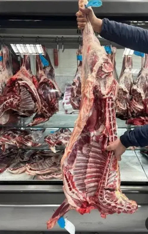 گوشت بره و میش تازه کشتار روز به قیمت عمده|خوردنی و آشامیدنی|تربت جام, بیست متری منبع آب|دیوار
