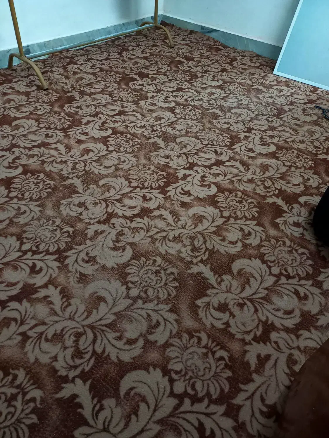 موکت طرح دار کاملا سالم|موکت|رشت, سلیمانداراب|دیوار