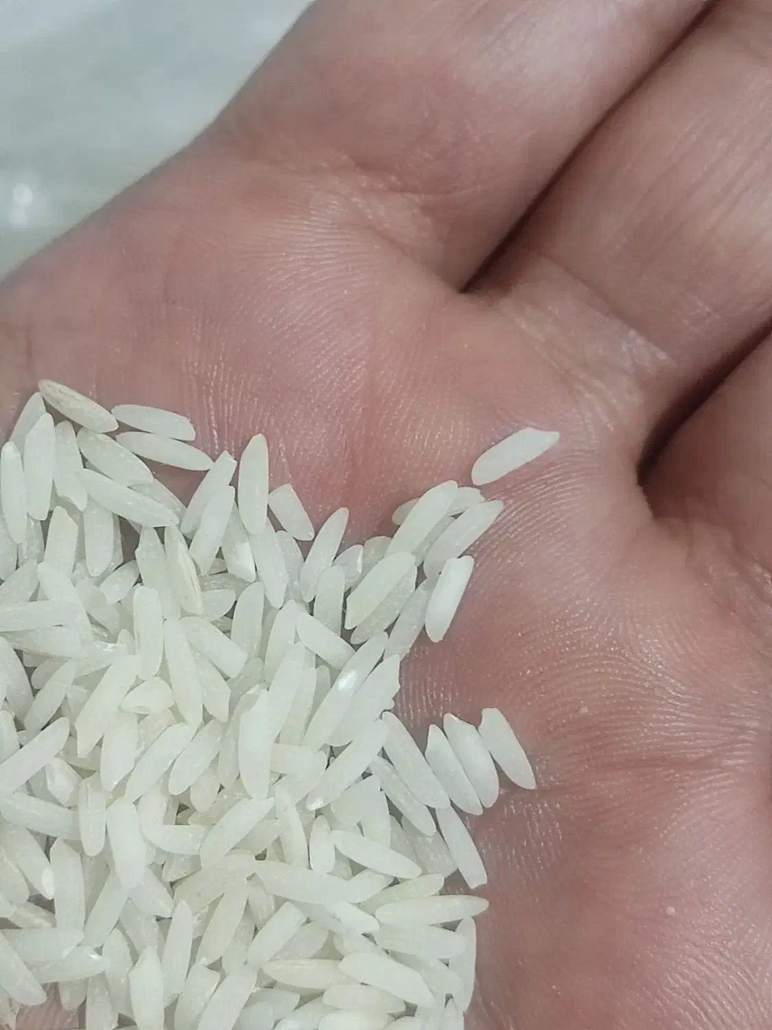 برنج هاشمی دانه درشت|خوردنی و آشامیدنی|اسلام‌شهر, شهرک قائمیه|دیوار