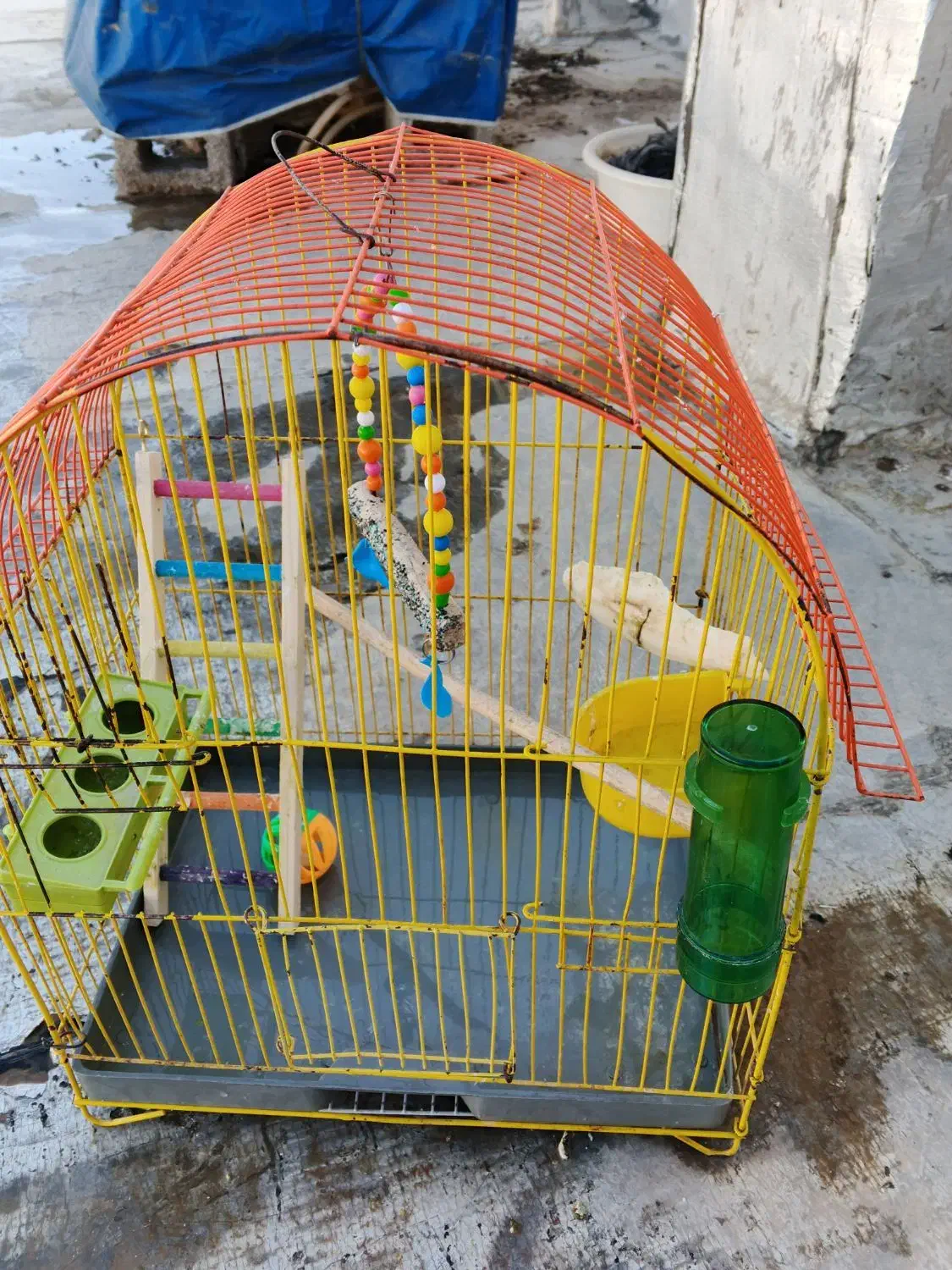 قفس|لوازم جانبی حیوانات|بانه, |دیوار