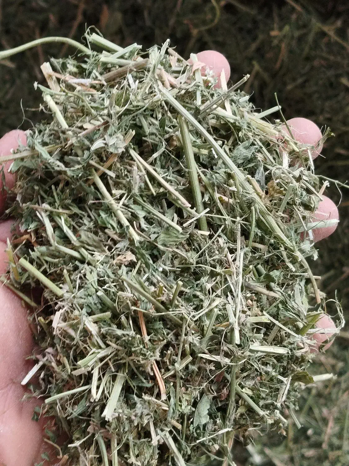 انبار علوفه حاج امیر|عمده‌فروشی|امیدیه, |دیوار