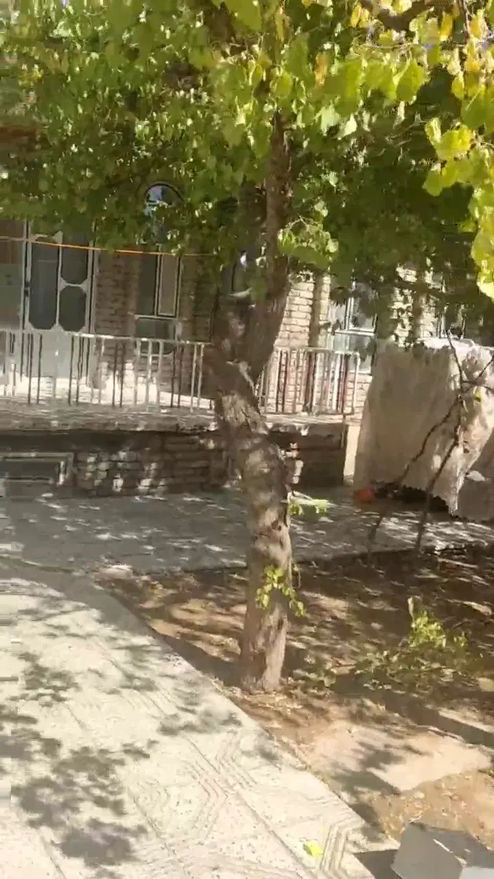 اجاره ویلایی بلوار بعثت کبودرآهنگ|اجارهٔ خانه و ویلا|کبودرآهنگ, |دیوار