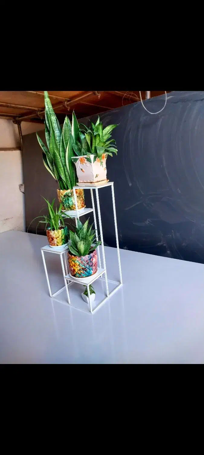 حراج استند گل|گل و گیاه طبیعی|شیراز, نصرآباد|دیوار