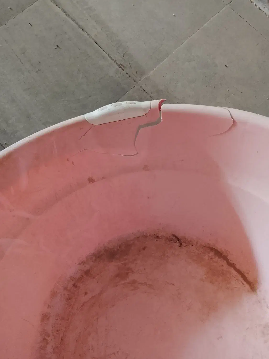 سبدولگن|ظروف نگهدارنده، پلاستیکی، یکبارمصرف|زاهدان, |دیوار