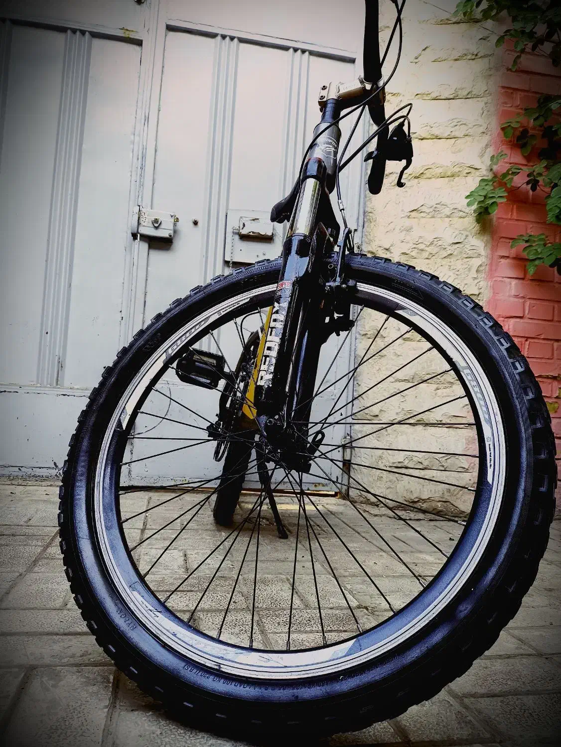 دوچرخه رد فوکس تنه بلند|دوچرخه، اسکیت، اسکوتر|بروجن, |دیوار