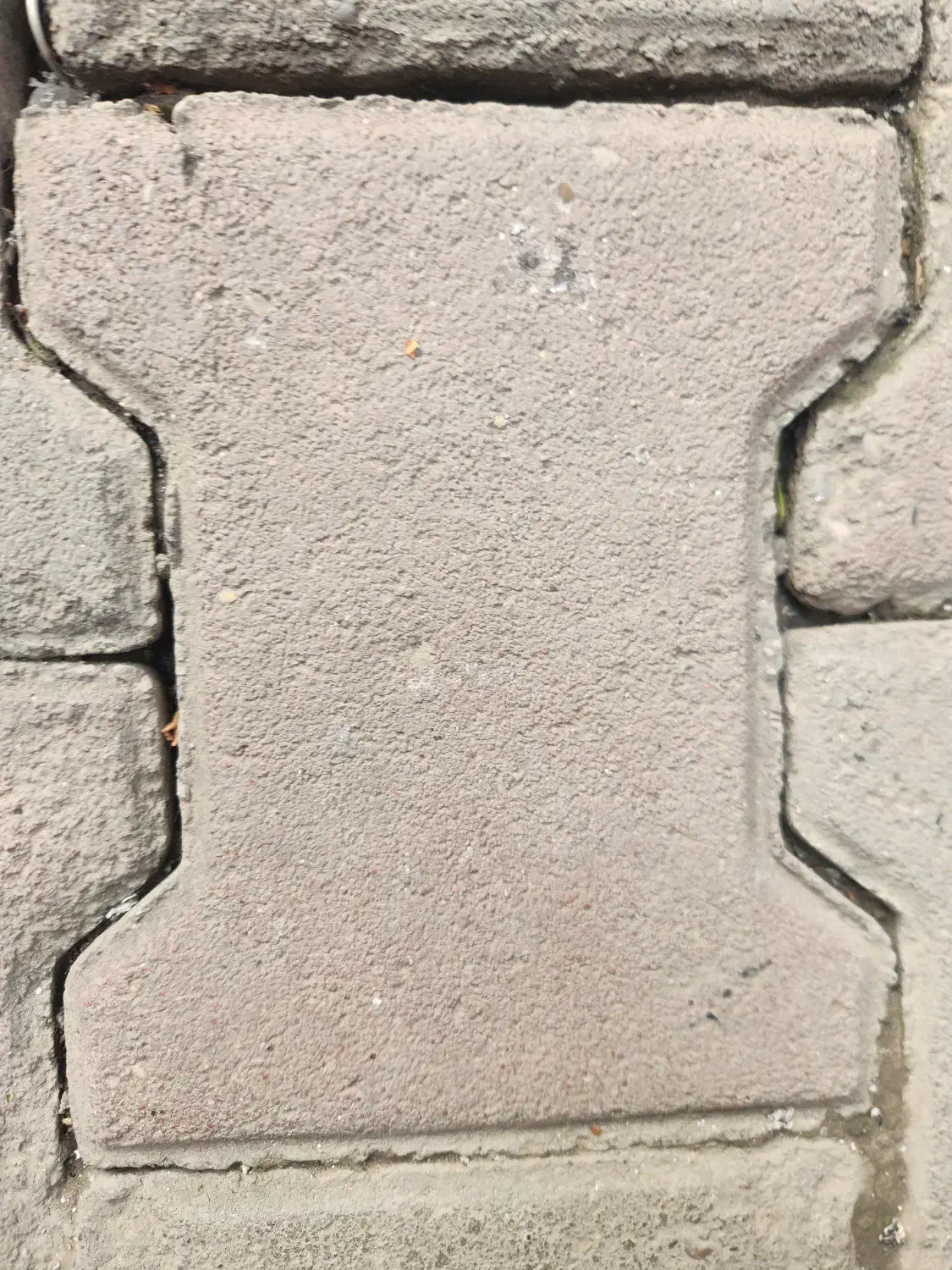 کیف پول گمشده|اشیا|گرگان, |دیوار