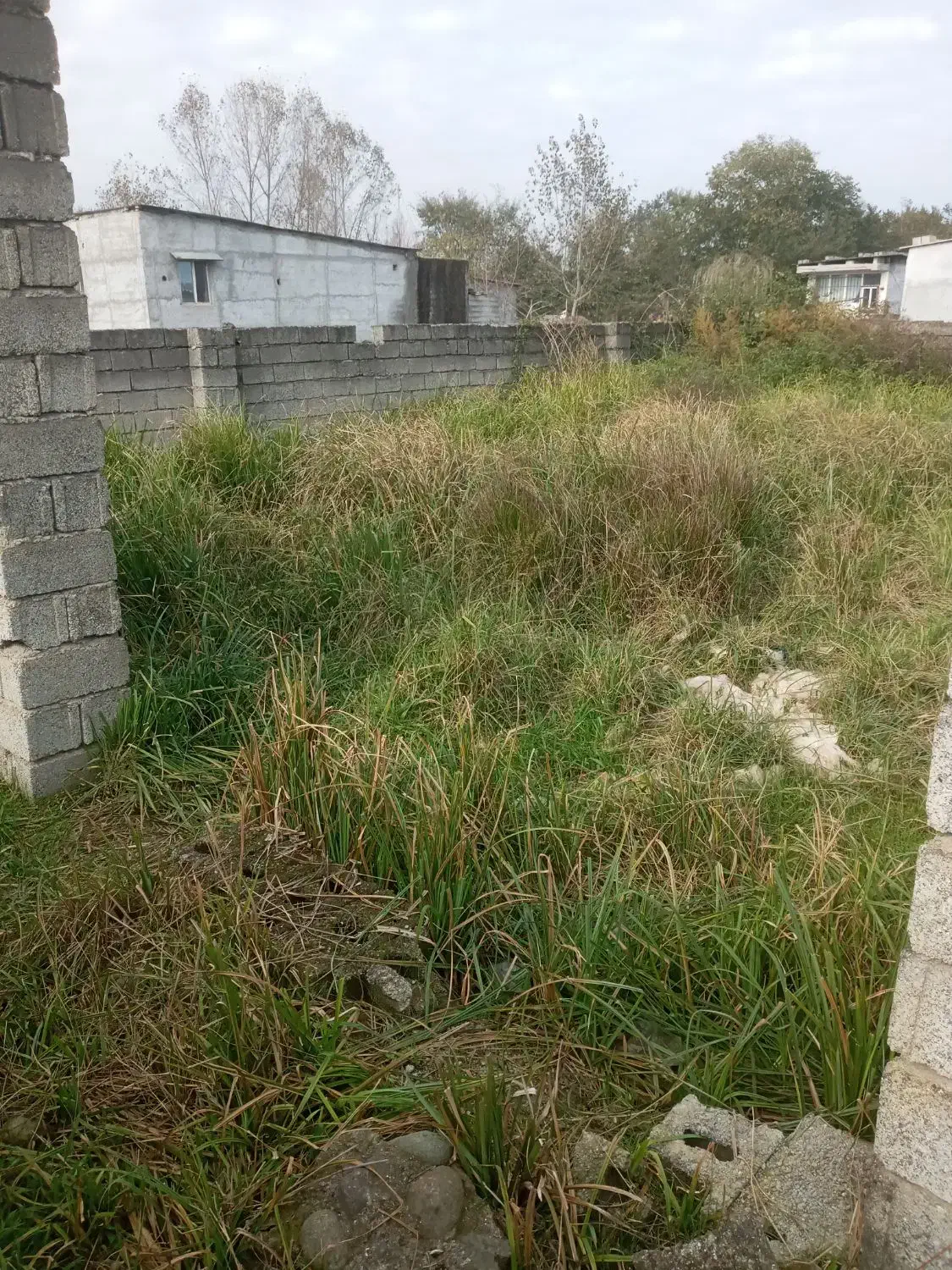 زمین فروشی|فروش زمین و ملک کلنگی|آستارا, |دیوار