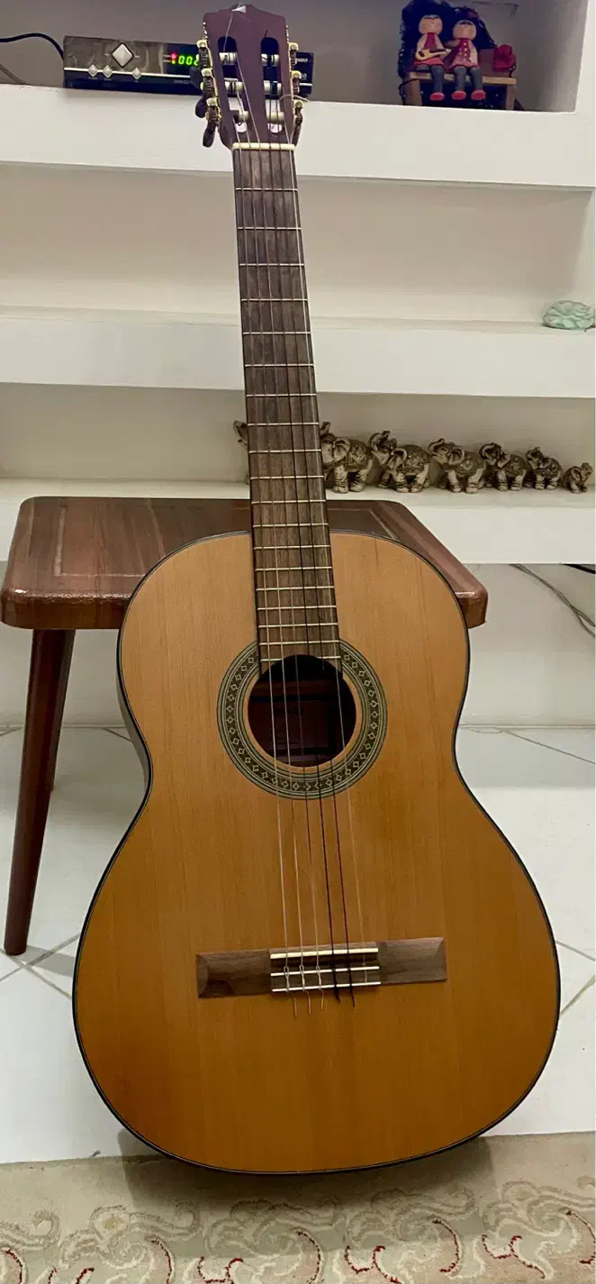 گیتار کلاسیک سانچز GLC110 اندونزی درحد نو|گیتار، بیس، امپلیفایر|گرگان, |دیوار