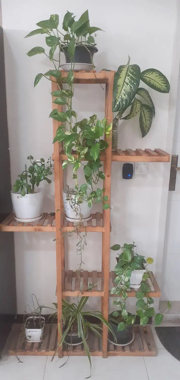 معاوضه|فروش خانه و ویلا|محمدیه-قزوین, |دیوار