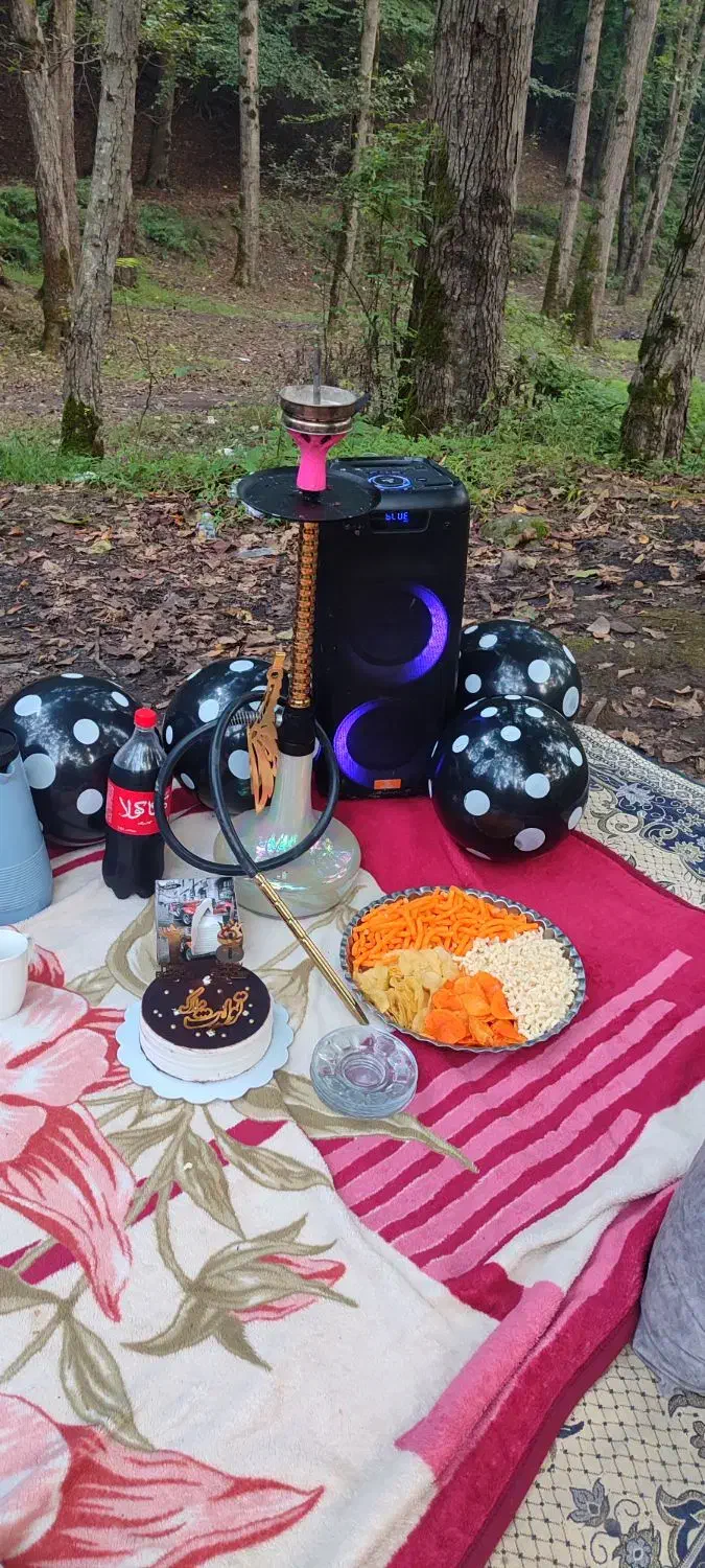 باند اسپیکر|سیستم صوتی خانگی|چالوس, |دیوار