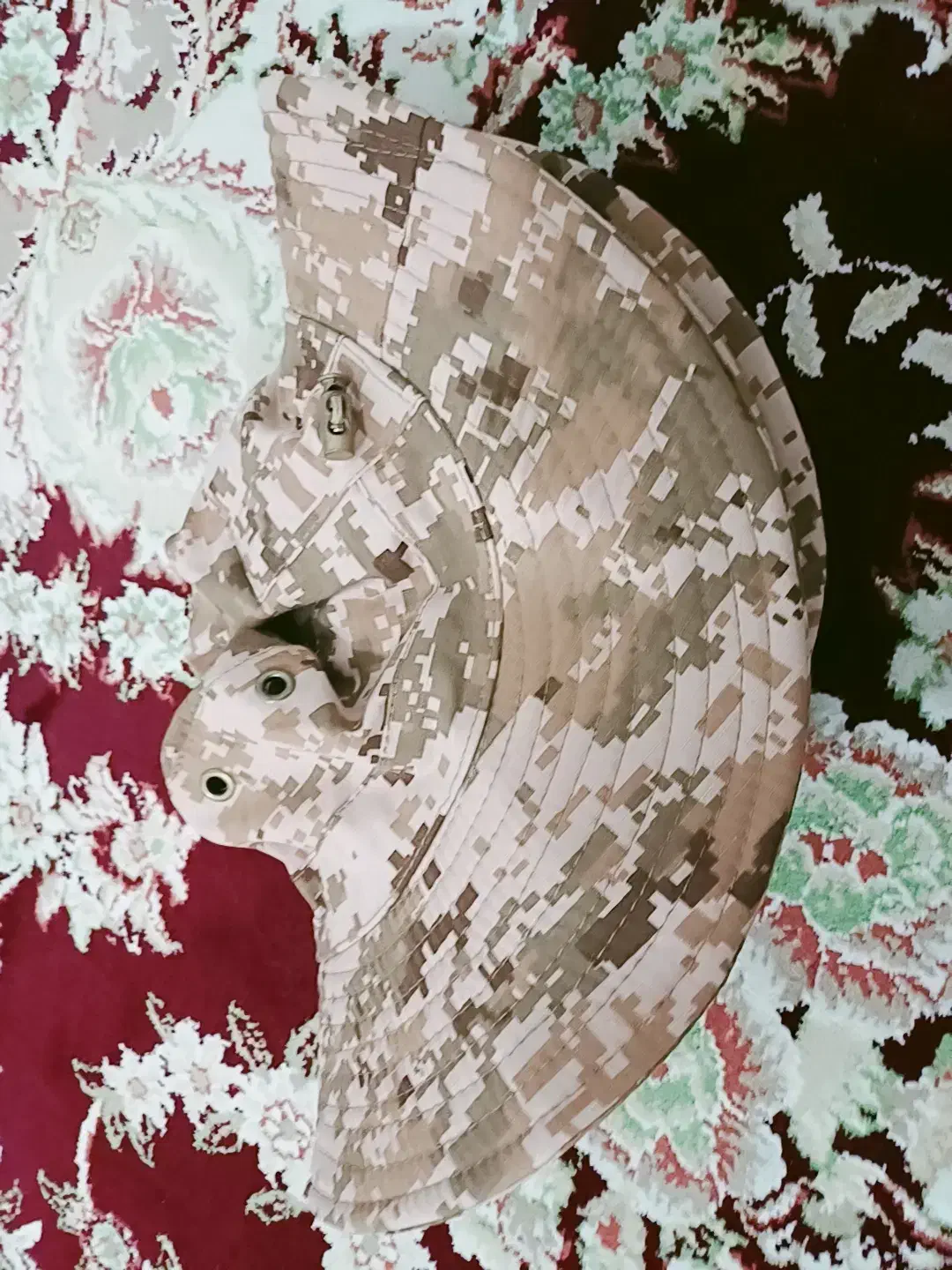 کلاه لبه دار|لباس|کامیاران, |دیوار