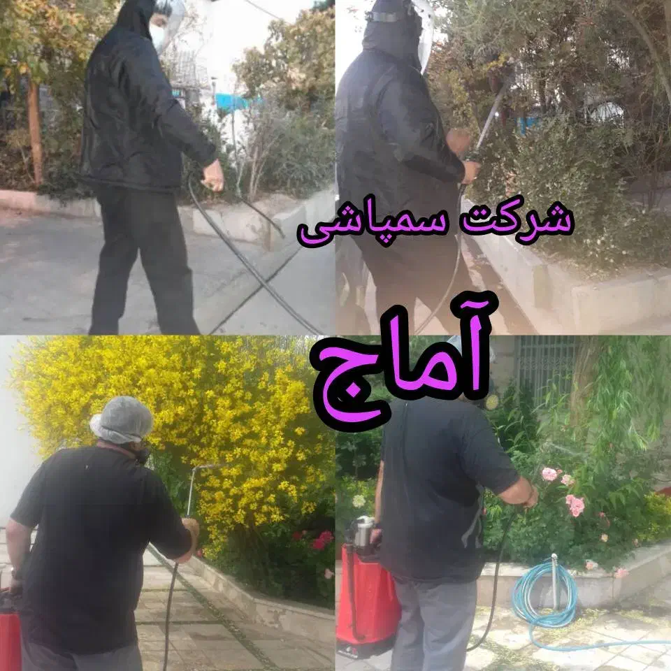 سمپاشی منازل سم پاش منزل سوسک موش ساس کنه کک حشرات|خدمات نظافت|نسیم‌شهر, |دیوار