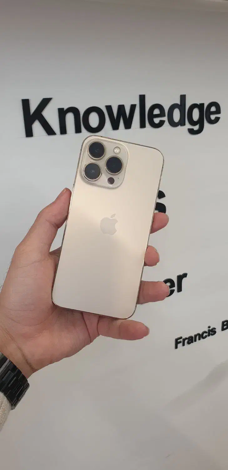 iPhone 13 pro|موبایل|شیراز, زند|دیوار