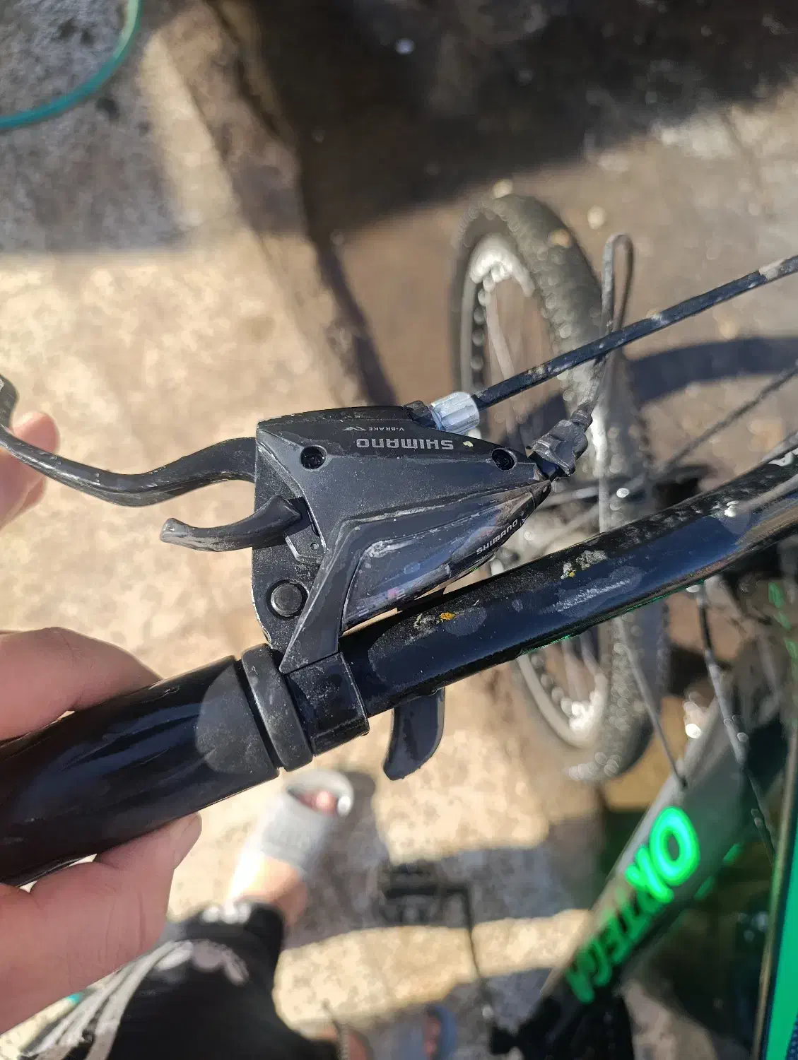 دوچرخه اورتگا|دوچرخه، اسکیت، اسکوتر|طرقبه, |دیوار