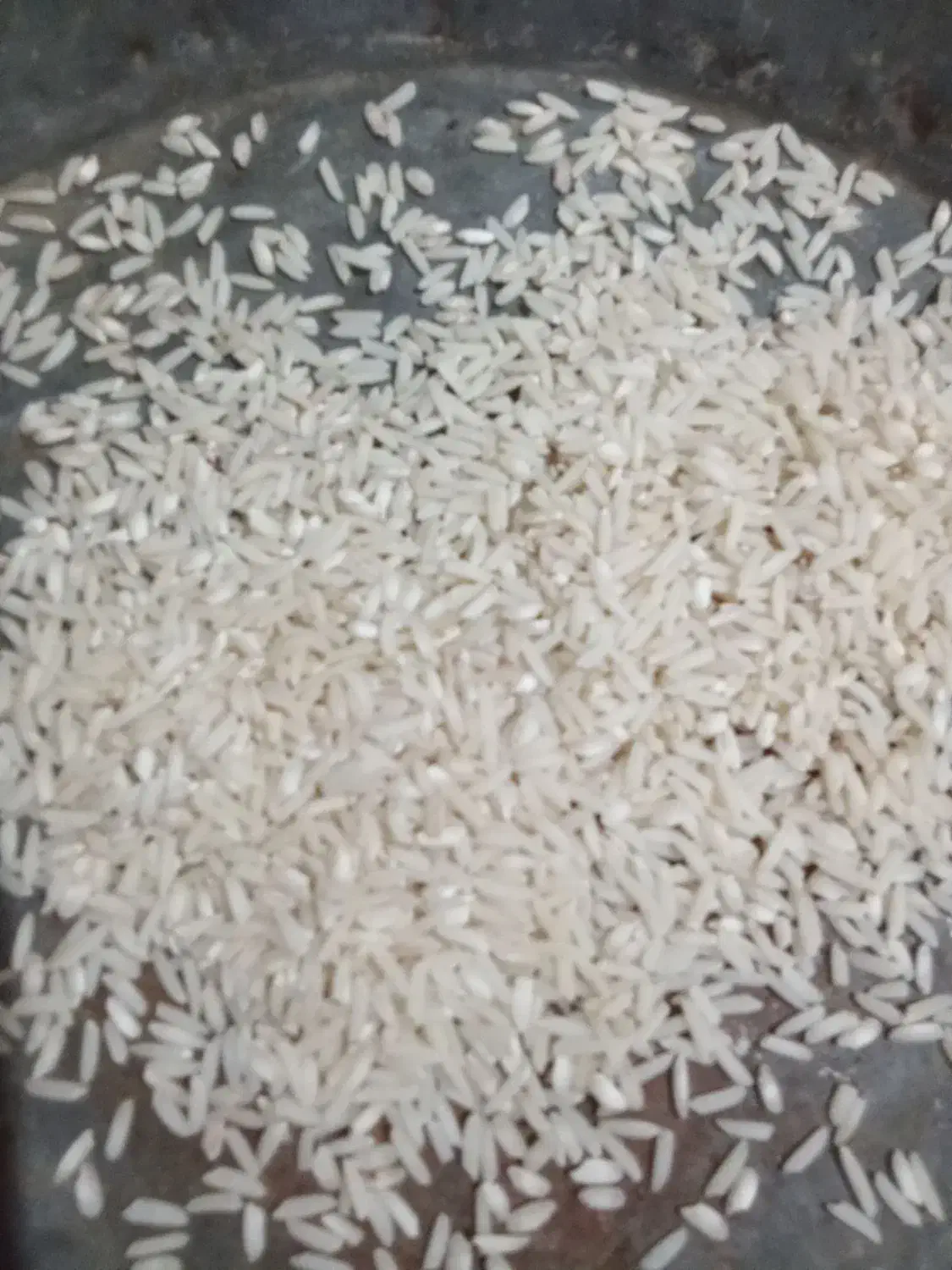 برنج محلی|خوردنی و آشامیدنی|چگنی, |دیوار