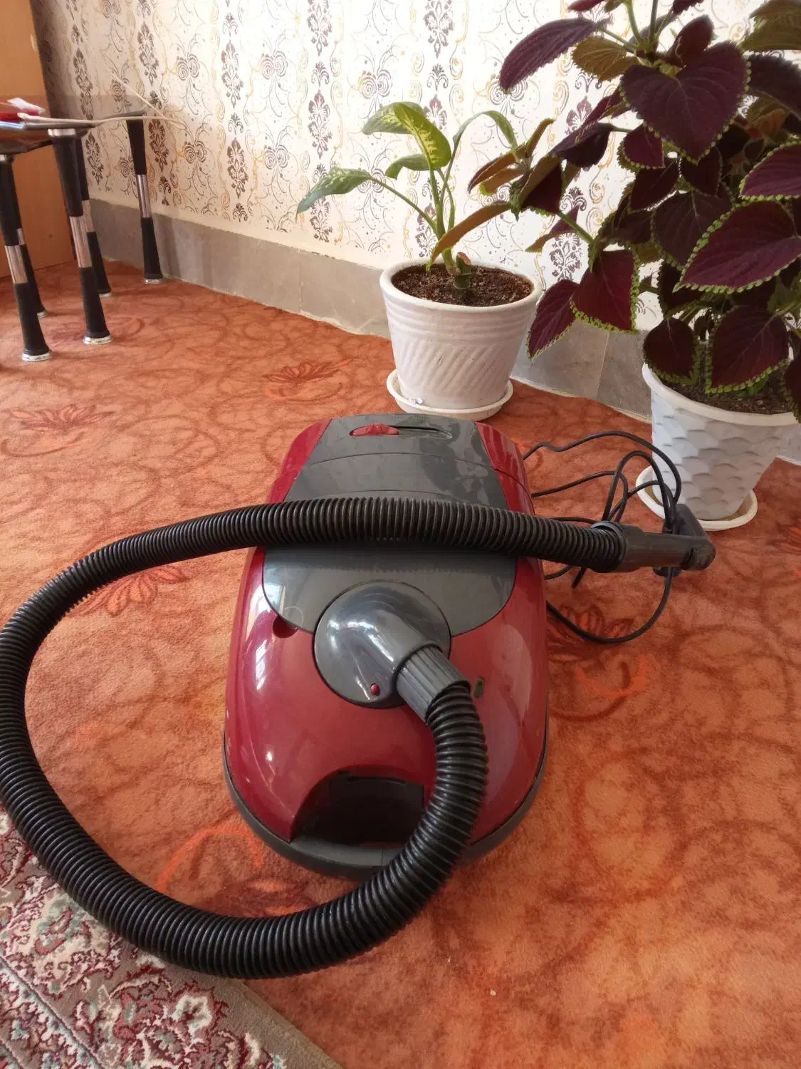 جارو برقی|جاروبرقی، جارو شارژی، بخارشو|سنندج, |دیوار