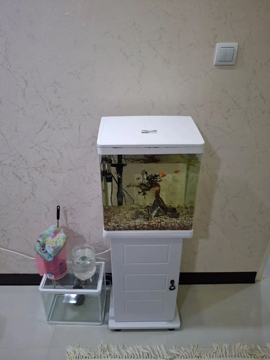 اکواریوم دلسا مدل k390 و اکواریوم کوچیک|ماهی|اهواز, کمپلو شمالی|دیوار