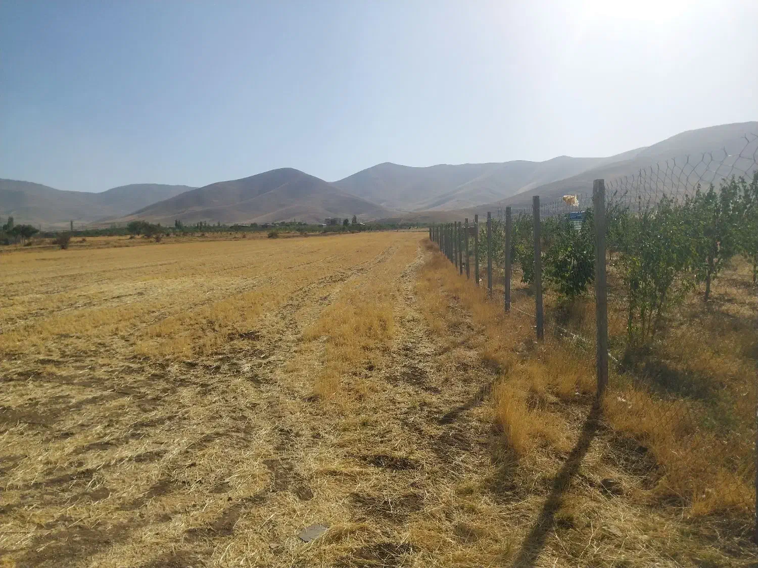 زمین باغی در ویهج اول جاده قمرعلی|فروش زمین و ملک کلنگی|قروه, |دیوار