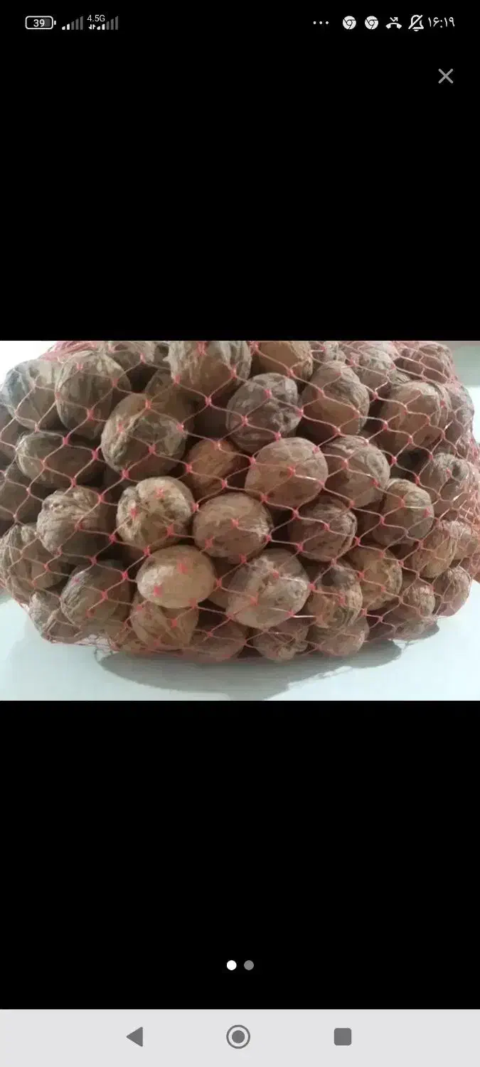 گردو|خوردنی و آشامیدنی|بردسیر, |دیوار