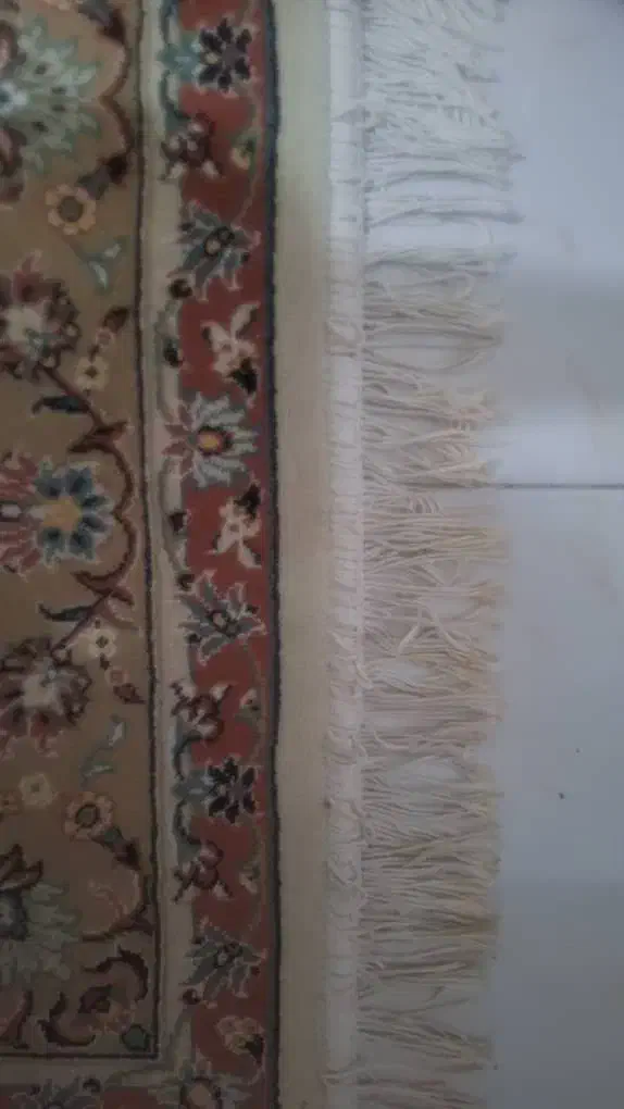 فرش|فرش|پردیس, فاز ۱۱|دیوار