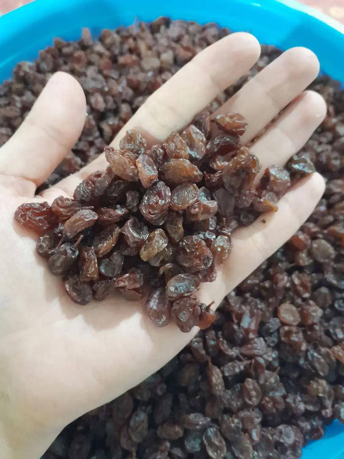 کشمش آفتابی|خوردنی و آشامیدنی|مشگین شهر, |دیوار