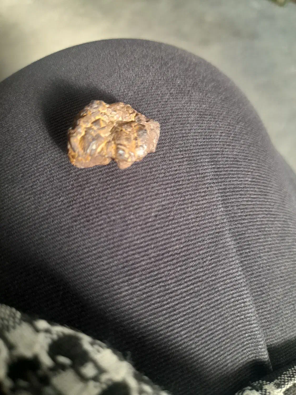 شهاب سنگ|کلکسیون اشیاء عتیقه|گله دار, |دیوار