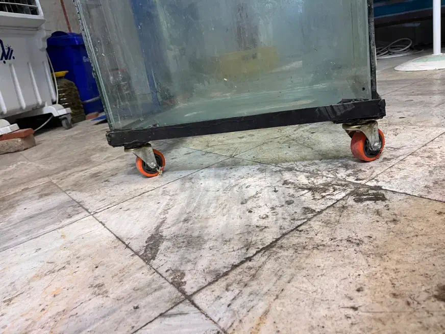 اکواریوم|ماهی|خرم‌آباد, |دیوار