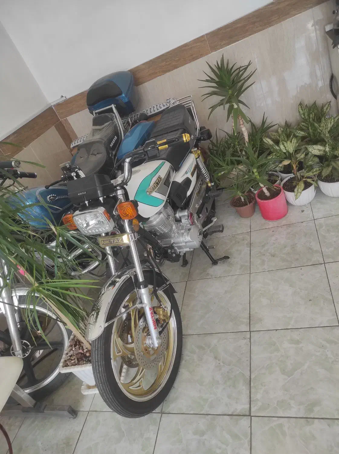 موتور سیکلت|موتورسیکلت|بناب, |دیوار