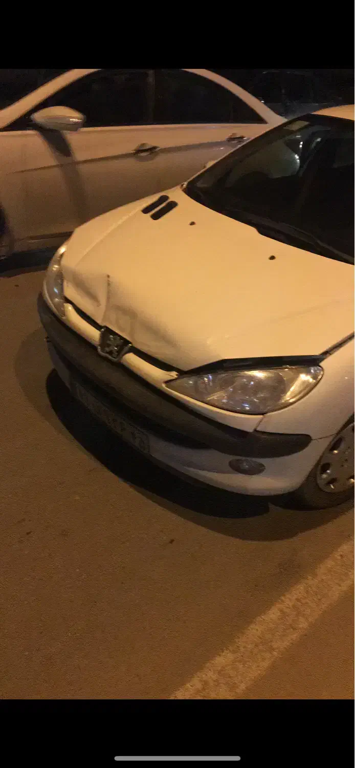 کاپوت ۲۰۶|قطعات یدکی و لوازم جانبی|کرمان, |دیوار