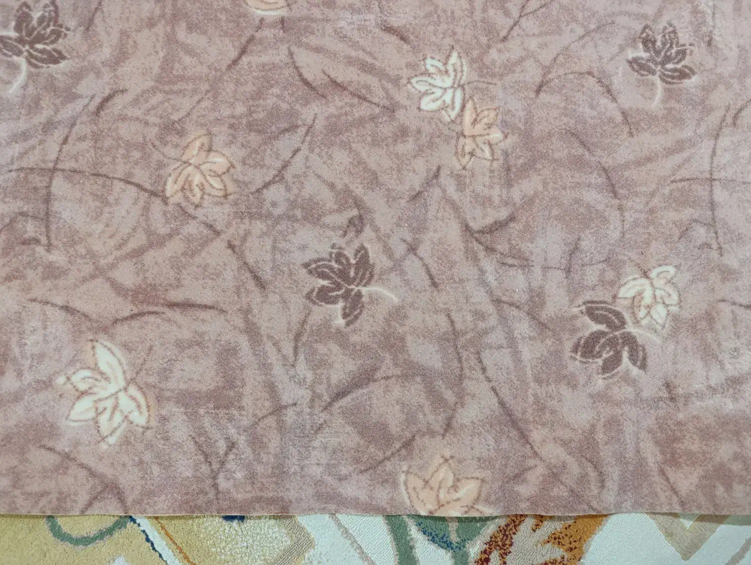 موکت|موکت|بندرعباس, |دیوار