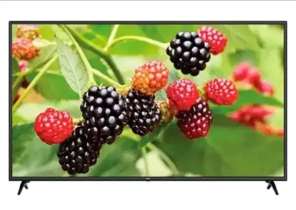 تلویزیون پنجاه الجی|تلویزیون و پروژکتور|بناب, |دیوار