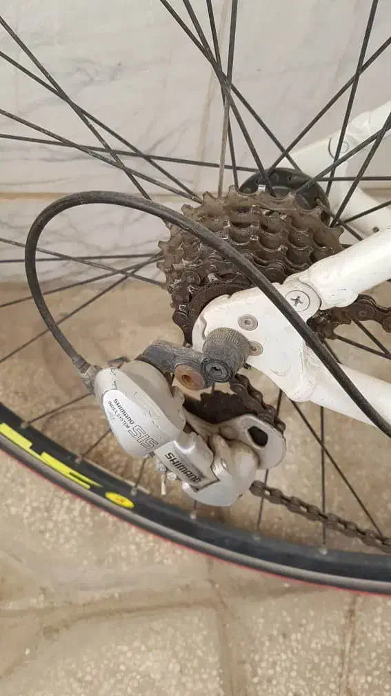 دوچرخه پلیس (کورسی) در حد|دوچرخه، اسکیت، اسکوتر|تهران, گلستان (شهرک راه آهن)|دیوار