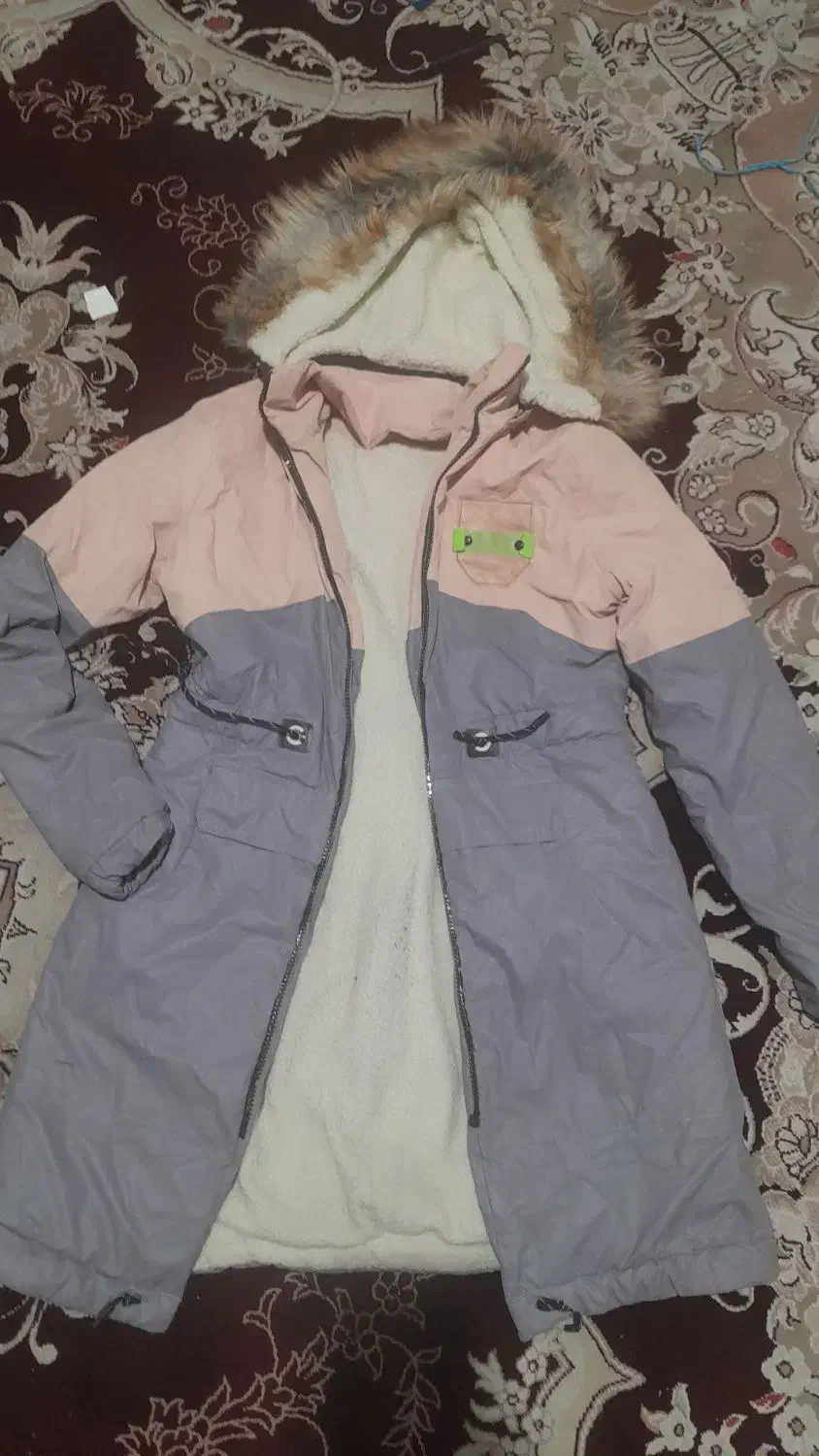 کاپشن|لباس|صباشهر, |دیوار